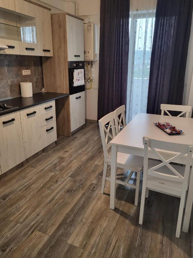 Appartamento Apartament Dem Radulescu Râmnicu Vâlcea Esterno foto
